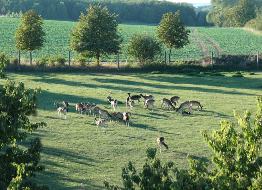 Außenansicht Foto
