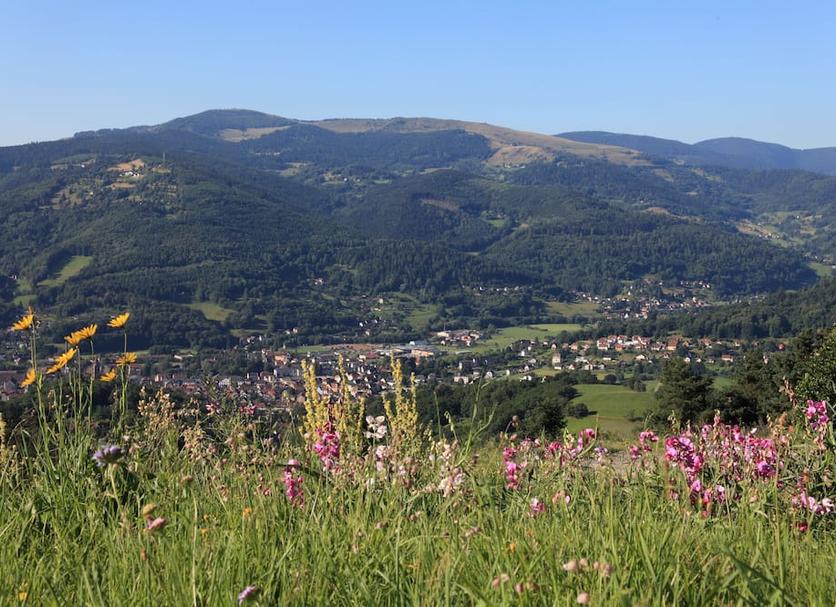 Außenansicht Foto