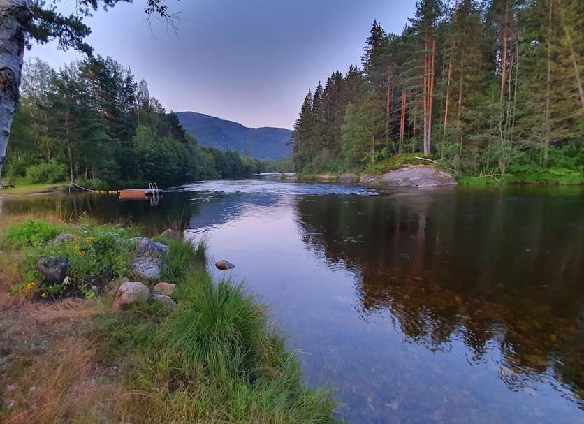 Sonstige Foto