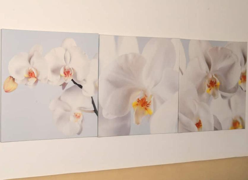 Zimmerausstattung Foto