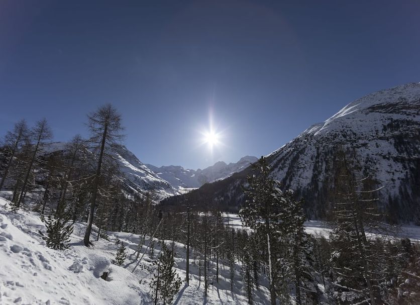 Außenansicht Foto