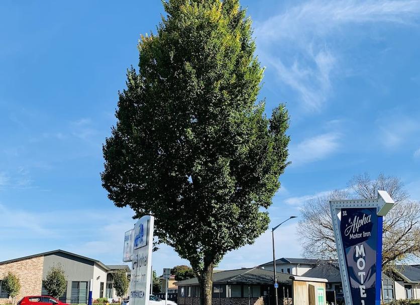 Außenansicht Foto