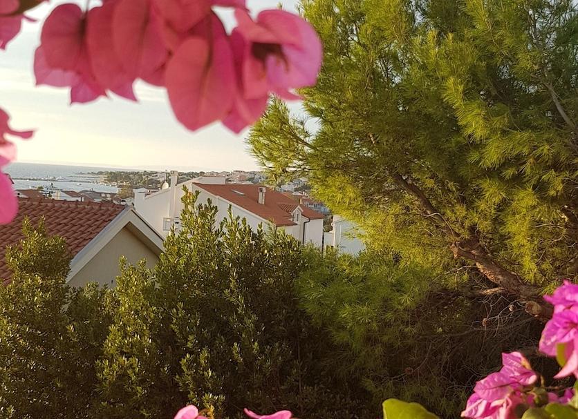 Außenansicht Foto