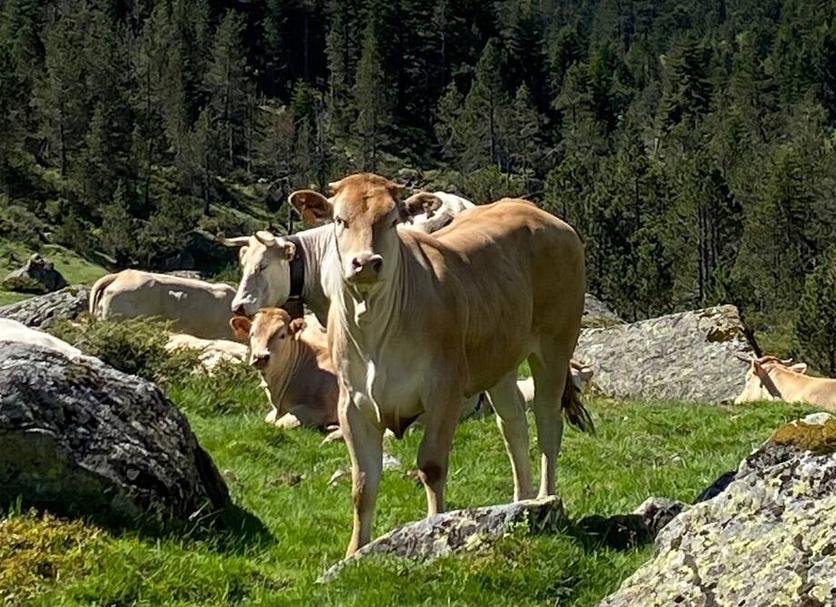 Sonstige Foto
