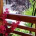 Sonstige