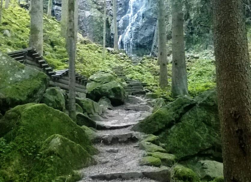 Sonstige Foto