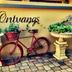Sonstige
