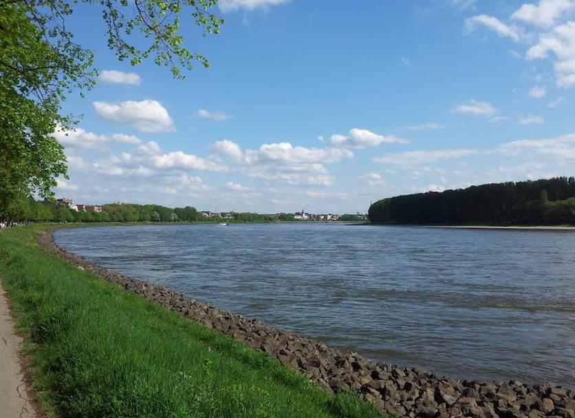 Sonstige Foto