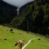 Sonstige