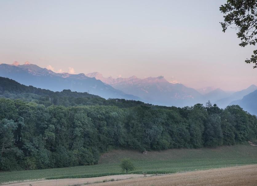 Außenansicht Foto