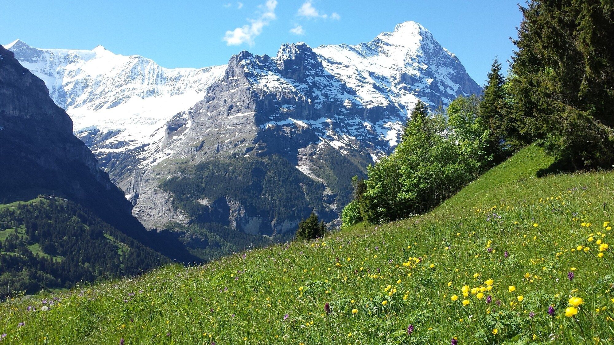 Außenansicht Foto