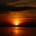 Sonstige