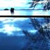 Sonstige