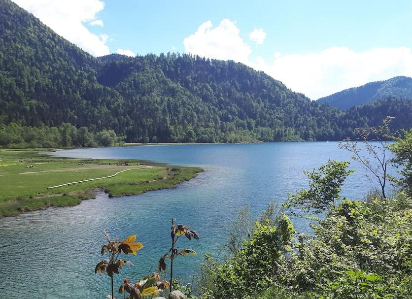 Sonstige Foto
