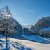 Sonstige
