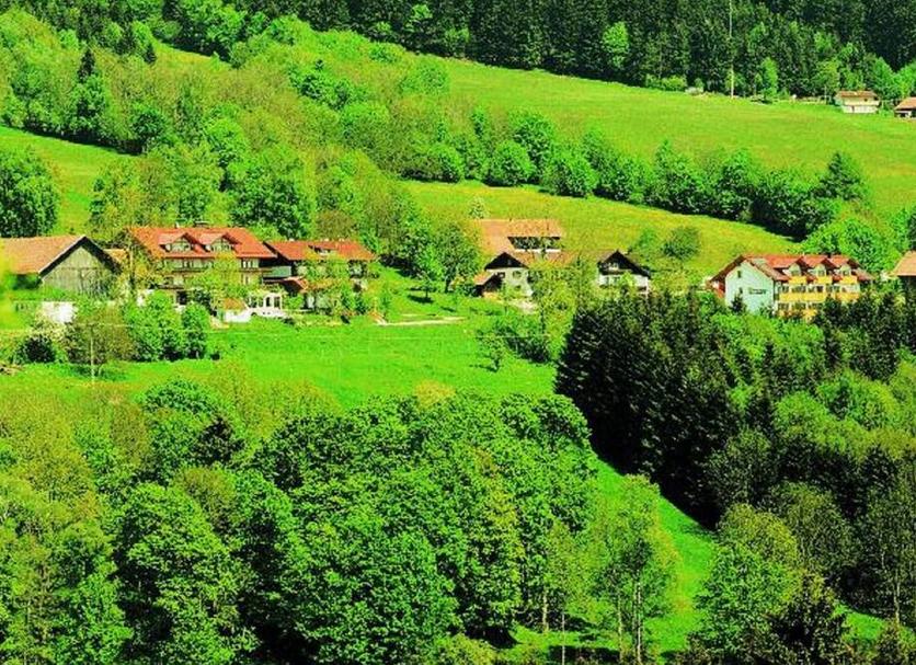 Sonstige Foto