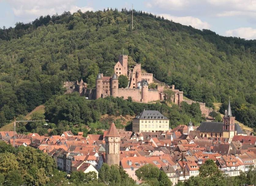 Sonstige Foto