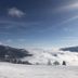 Sonstige