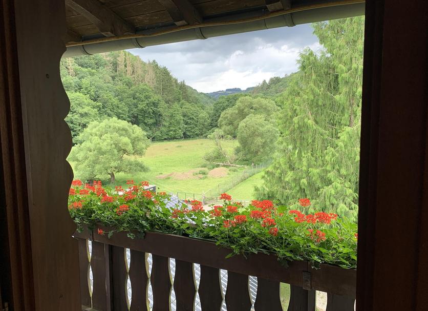 Balkon Foto