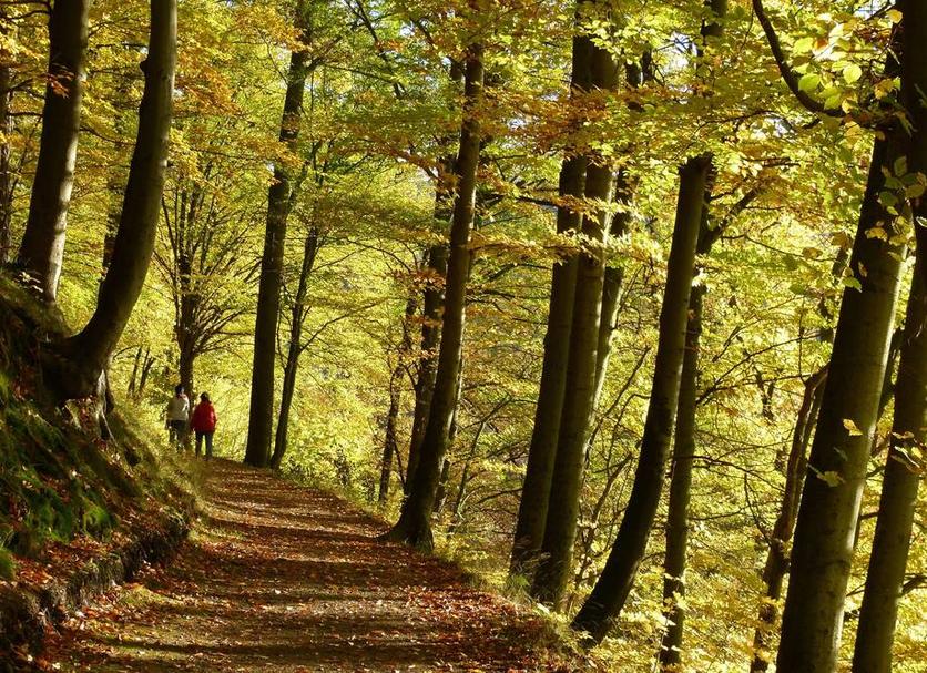 Außenansicht Foto