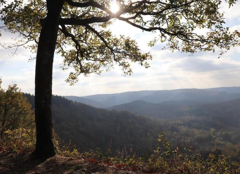 Außenansicht Foto