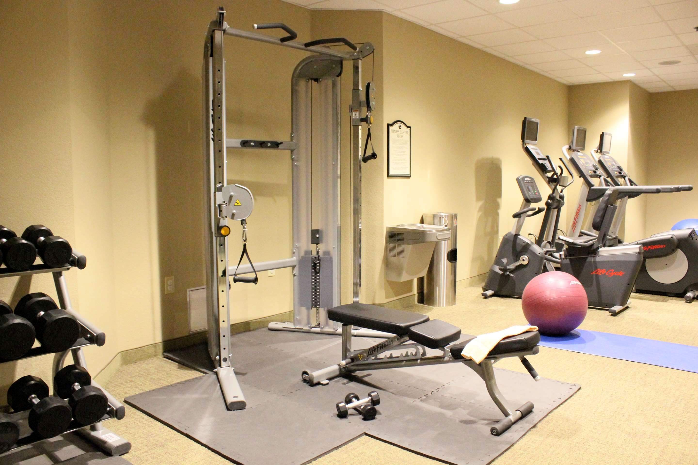 Fitnessbereich