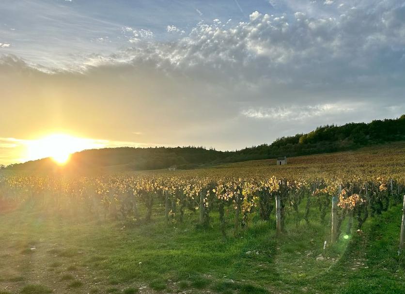 Außenansicht Foto