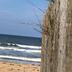Sonstige