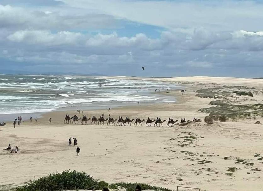 Strand Foto