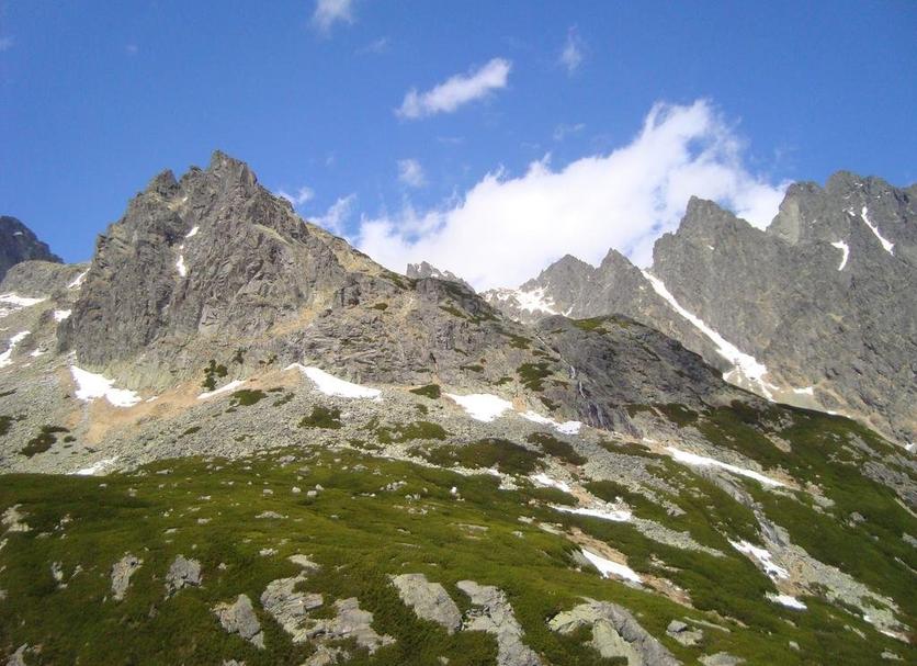 Sonstige Foto