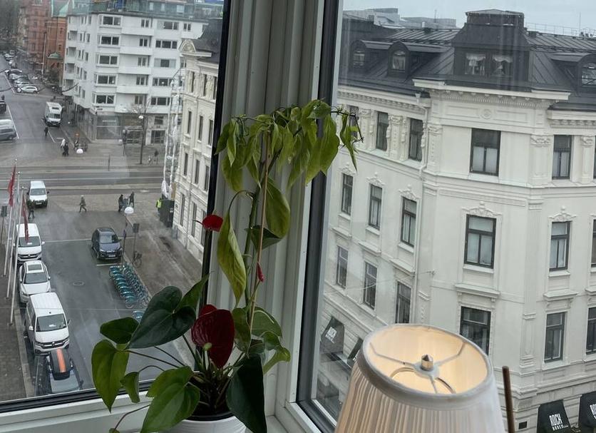 Außenansicht Foto