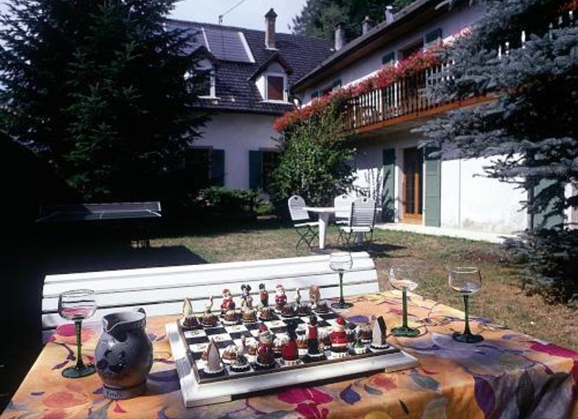 Sonstige Foto