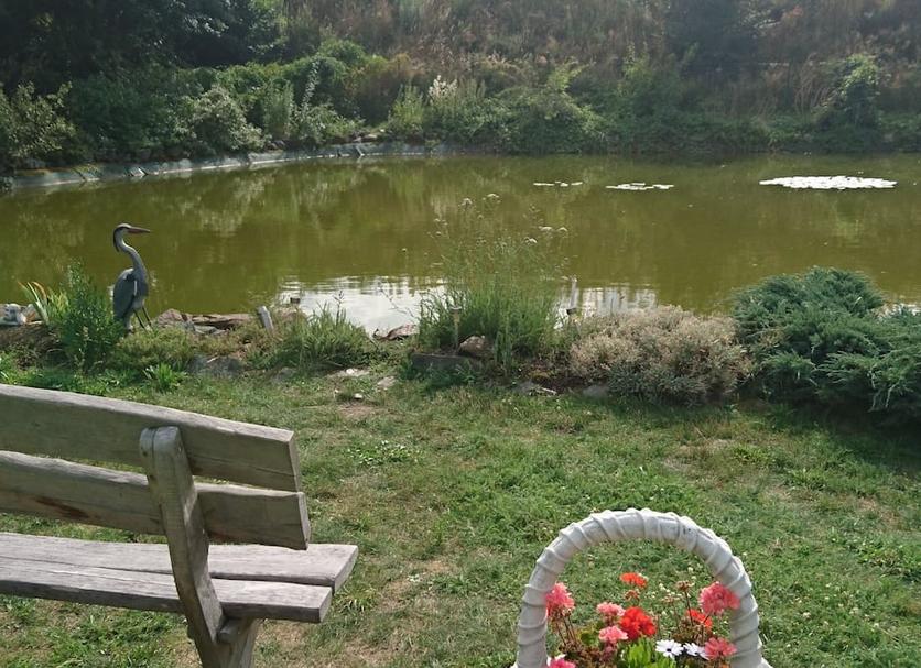 Außenansicht Foto