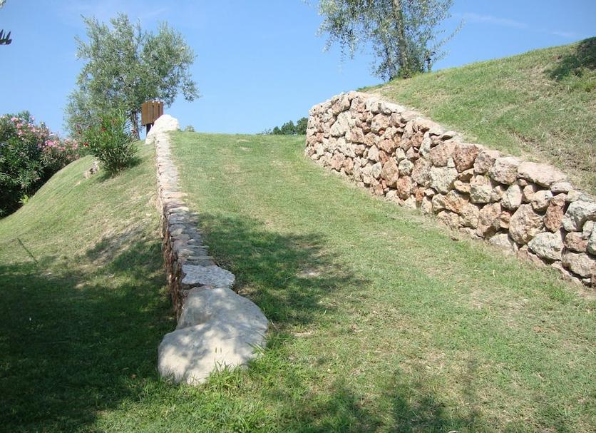Sonstige Foto