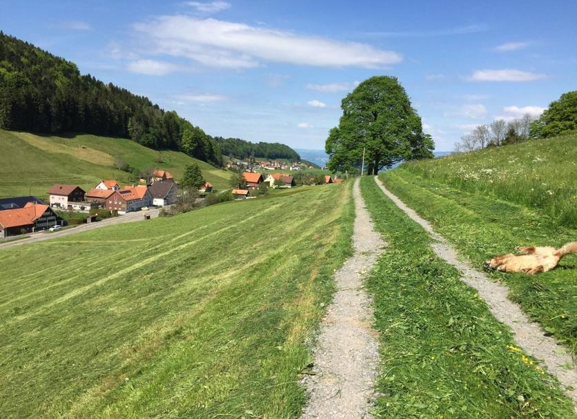 Außenansicht Foto