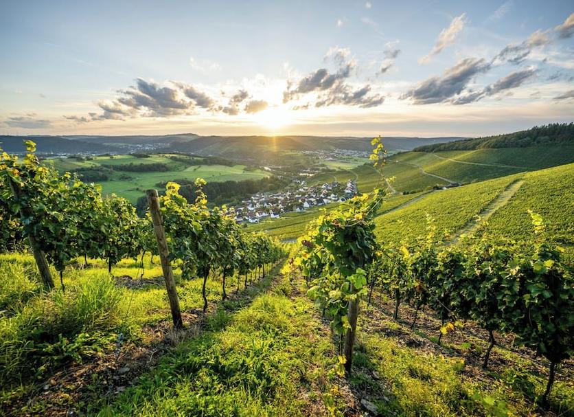 Außenansicht Foto