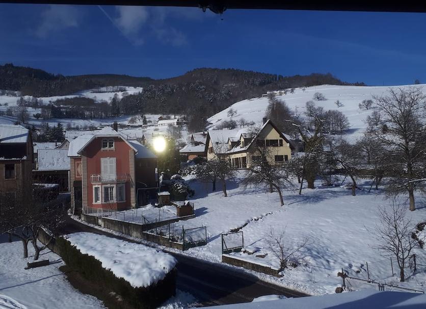 Sonstige Foto