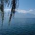 Sonstige