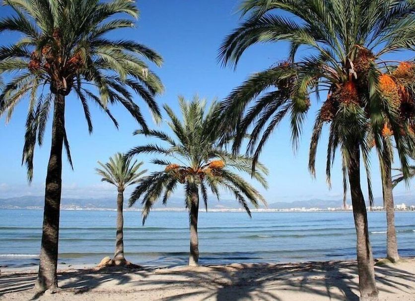 Strand Foto