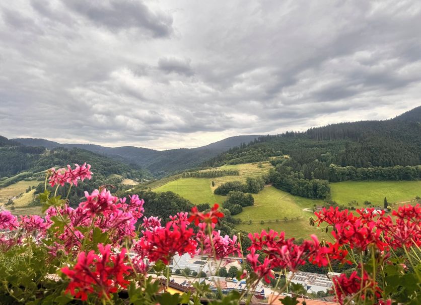 Außenansicht Foto