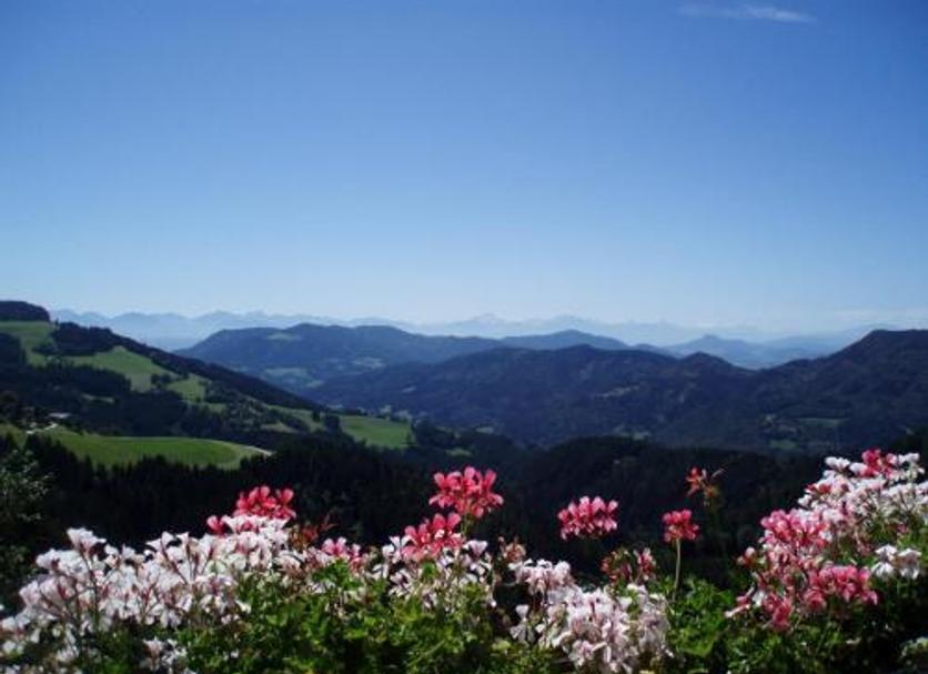Außenansicht Foto