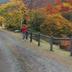 Sonstige