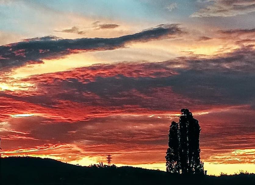 Sonstige Foto