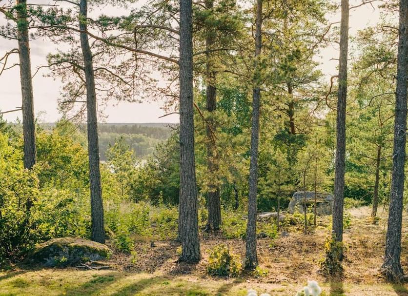 Außenansicht Foto