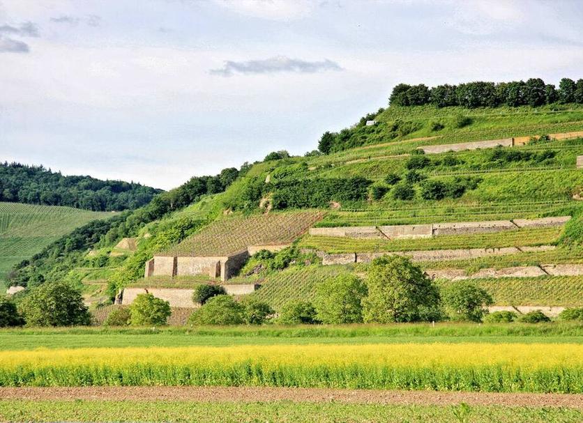 Außenansicht Foto