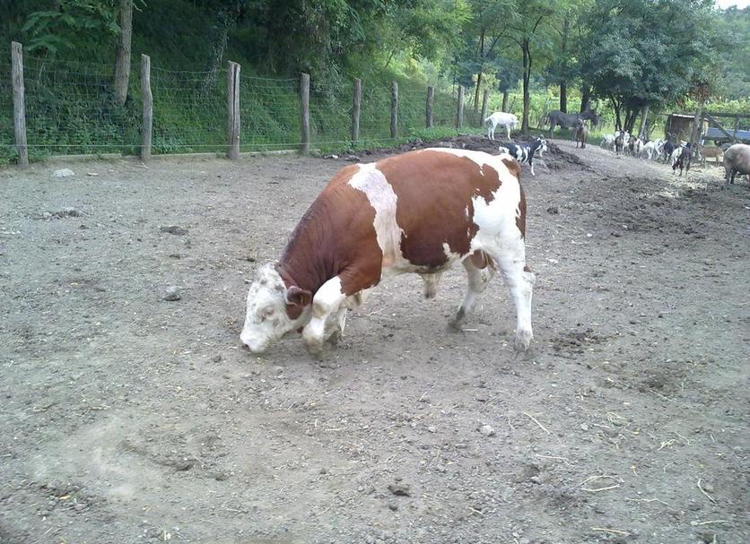 Sonstige Foto