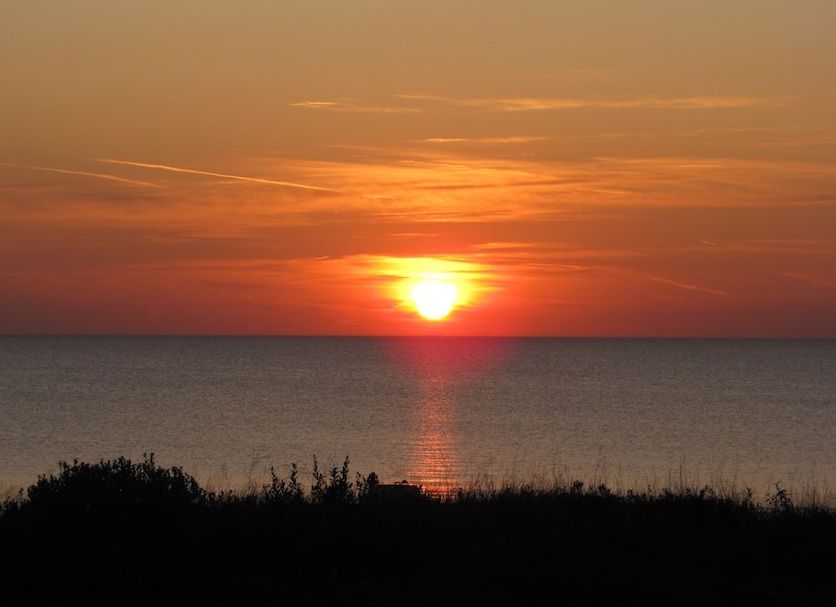 Sonstige Foto