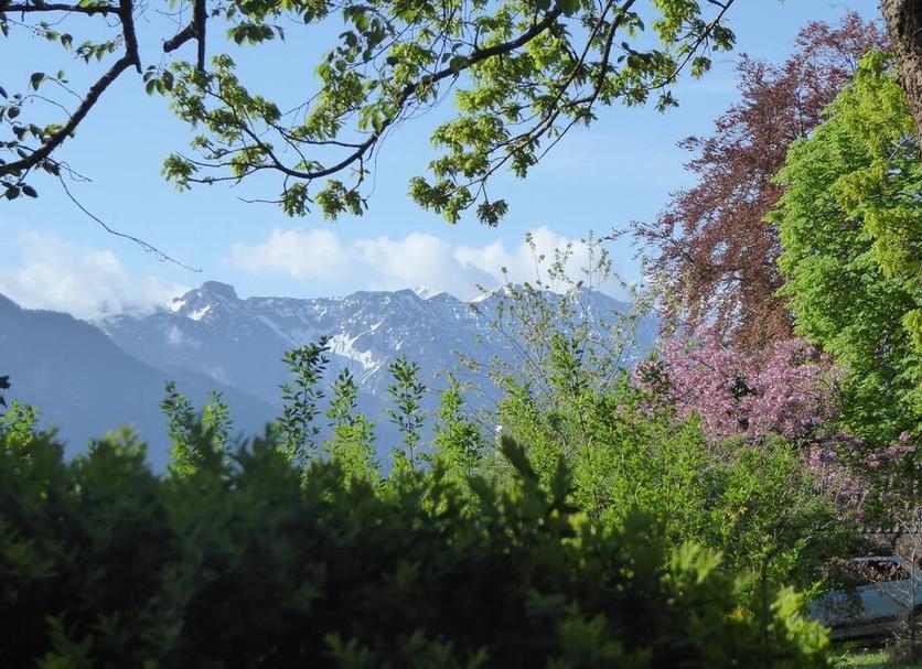 Außenansicht Foto