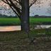 Sonstige