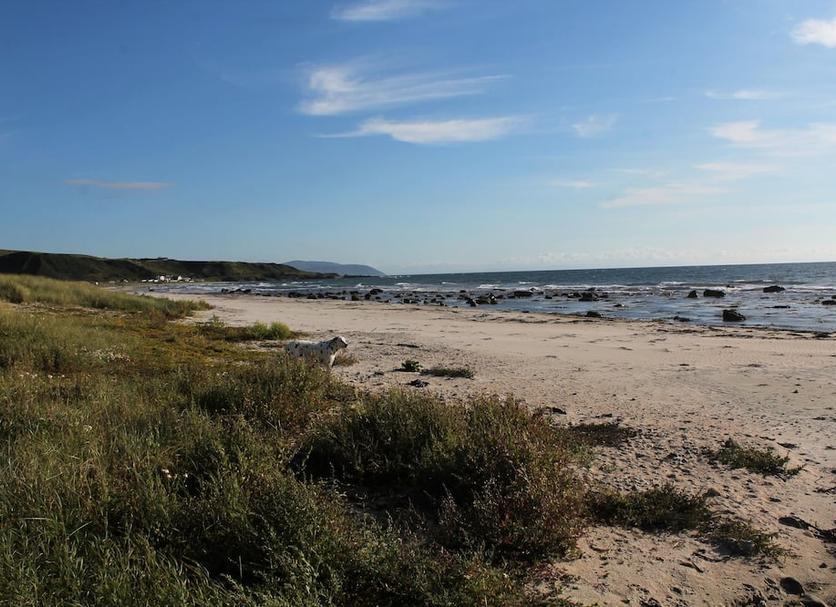 Strand Foto